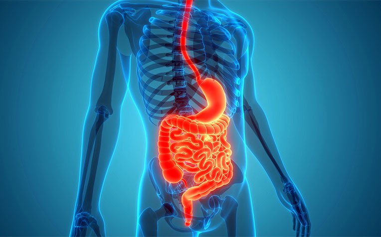 How to Improve and Reset Gut Health